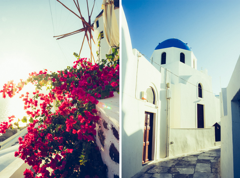 Blue domes and blossoms in Oia, Santorini, Greece by Miss Gen Photography