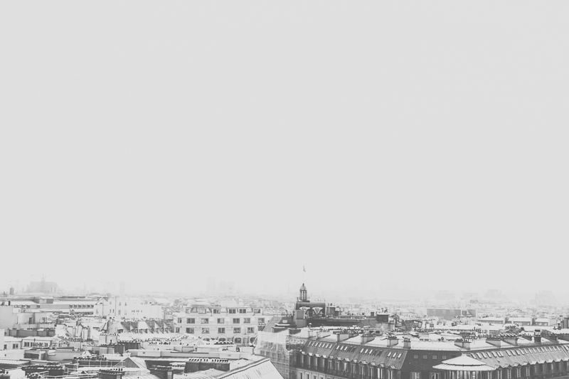 View from rooftop Galleries La Fayette Paris