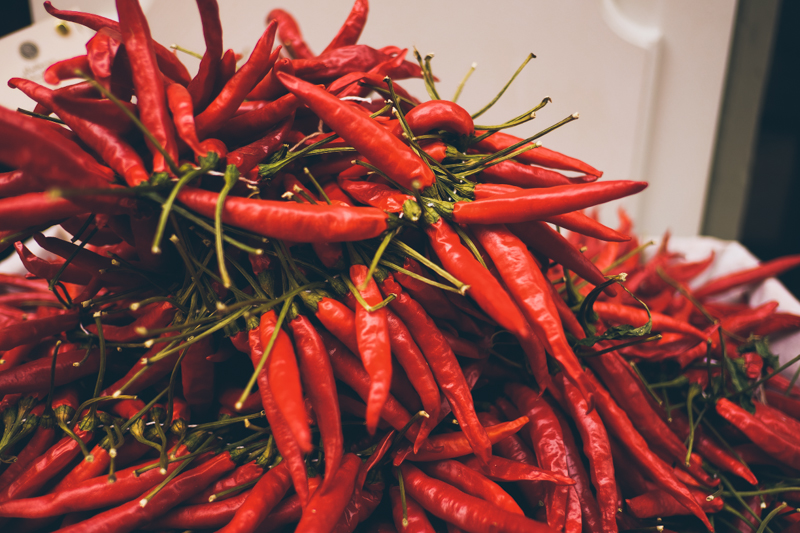 Chillies in Palma in Mallorca, streets of the old town. Destination travel photography by destination wedding photographer Miss Gen Photography.