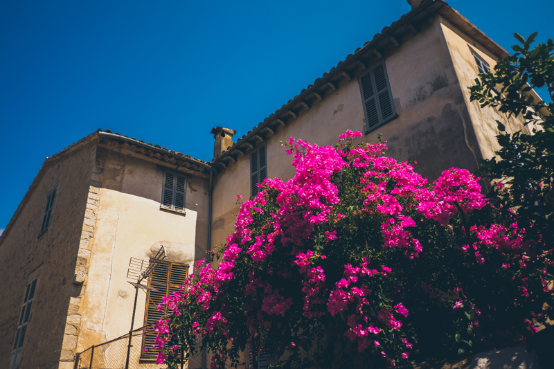 Pink flowers in Soller in Mallorca, streets of the old town. Destination travel photography by destination wedding photographer Miss Gen Photography.
